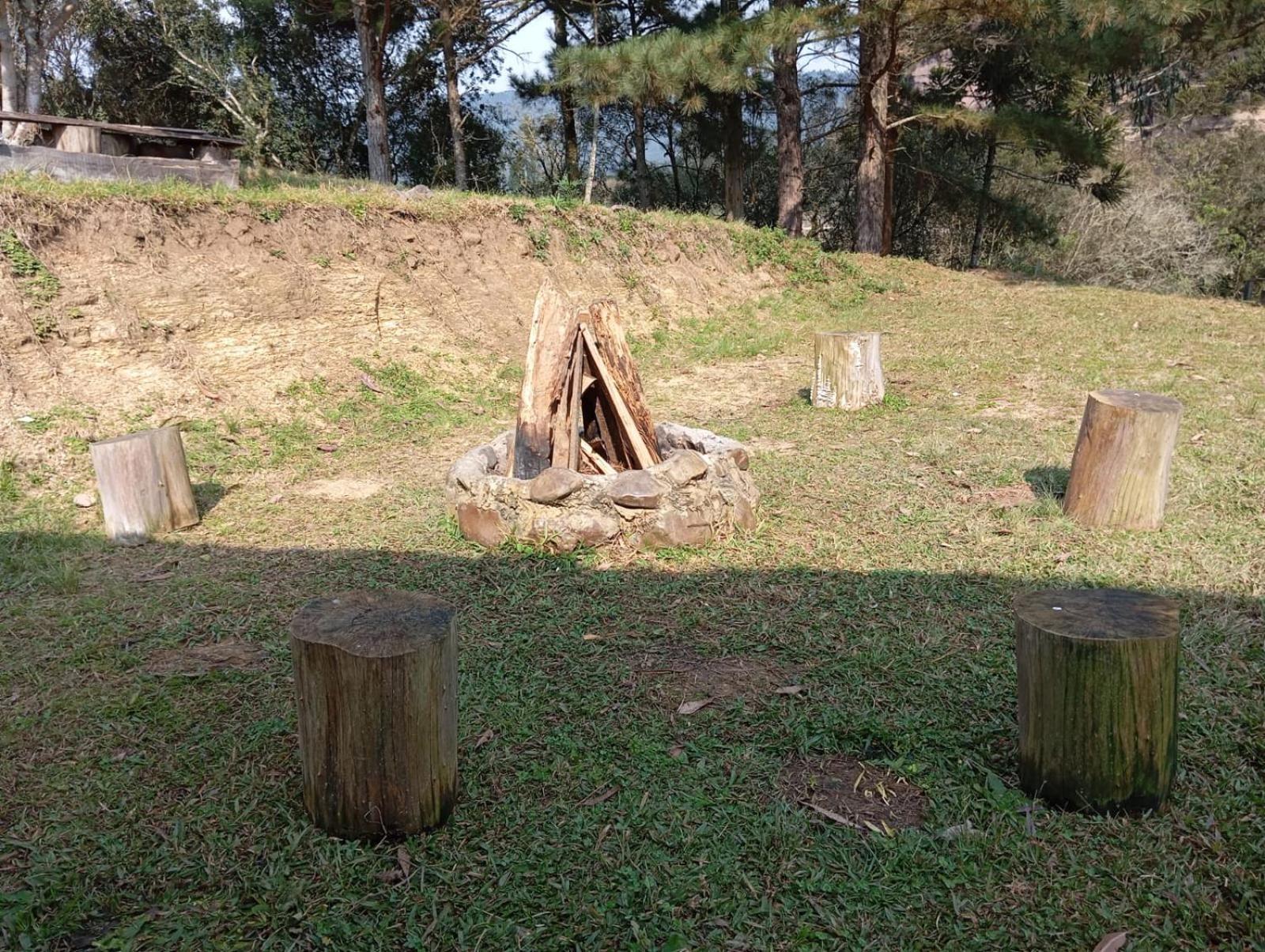 Goiaba Serrana Urubici